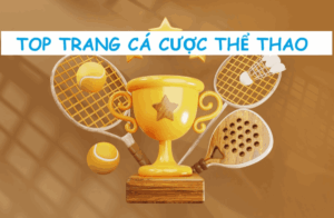 top trang cá cược thể thao